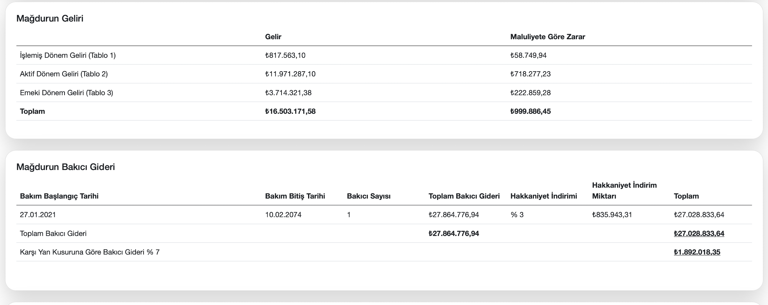 Gelir ve bakıcı gideri sonuç ekranı